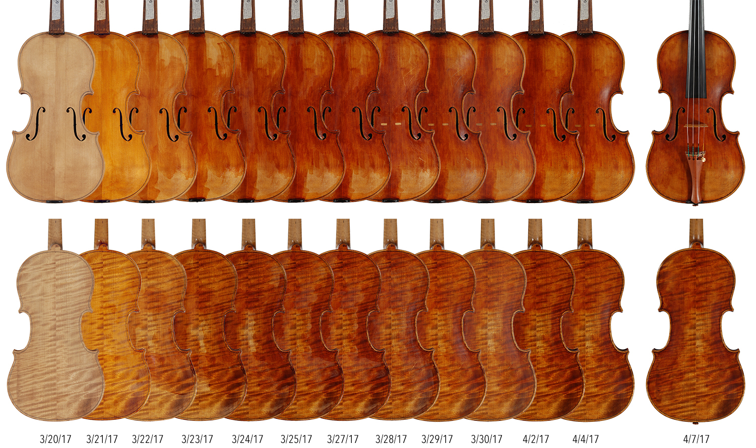 Varnish Photos Cox Violins Blog